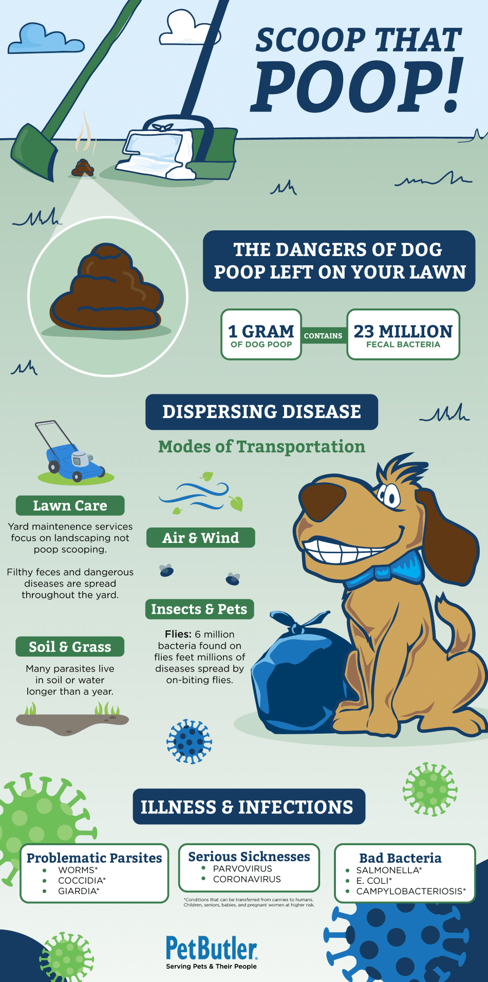 Infographic on pet waste disposal